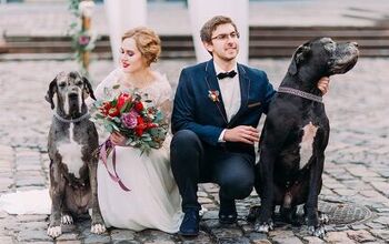 10 Dapper Dogs Celebrating Weddings