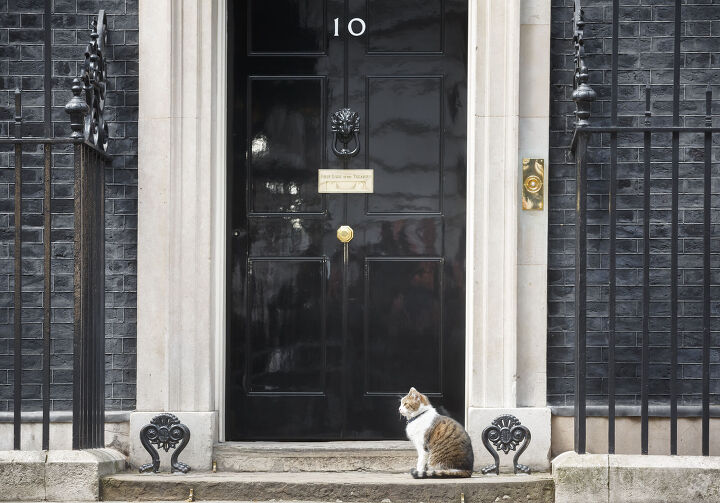 10 downing s new pm better like cats, Photo Credit Drop of Light Shutterstock com