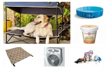 10 Hot Picks That’ll Keep Your Canine Cool