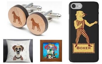 10 Knockout Gifts for Boxer Buffs