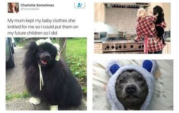 11 Motherhood Goals From a Dog Mom