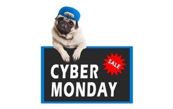 11 Pawsome Cyber Monday Pet Deals