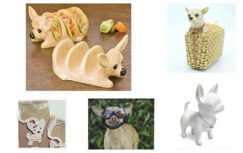 12 Chihuahua Curios We Covet