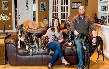 2 Humans + 8 Dogs = 1 Big Custom Bed