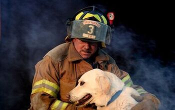 4 Tips to Keep Pets Safe From House Fires