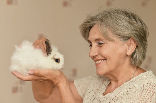 5 best rabbits for companions, Ruslan Huzau Shutterstock