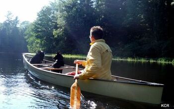 5 Pet Portaging Tips For Canoeing With Your Dog