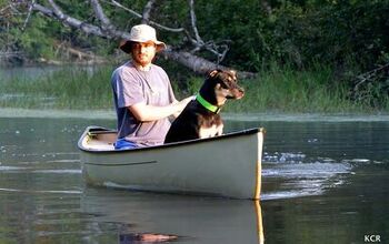 5 Reasons to Consider Canoeing With Your Canine