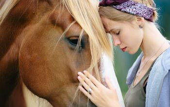 5 Things to Consider Before Getting a Horse