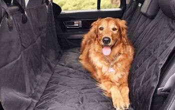 6 Easy Ways To Pet Proof Your Car