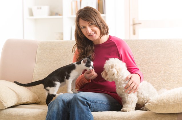 8 tips to hiring an in home pet sitter