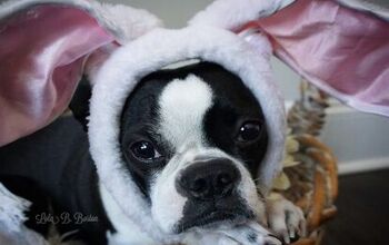 9 Easter Nuggets of Inspiration From Lola B. Boston