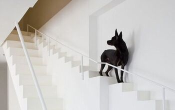 A Step Up: Awesome House Has Little Staircase Just For Dogs