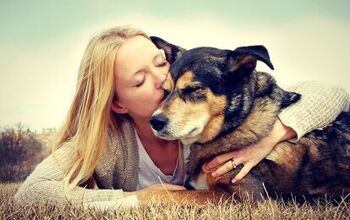 Adopting a Dog: Tips for Success