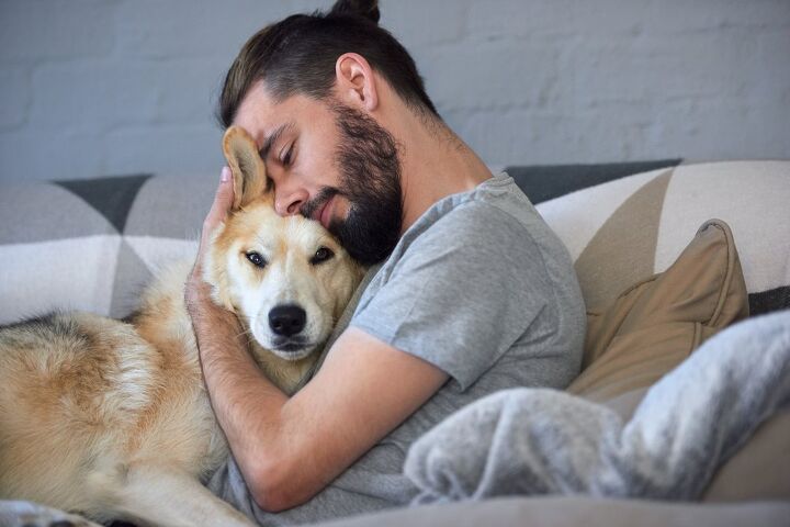 after 5 long years a lost senior dog is reunited with his owner, Daxiao Productions Shutterstock