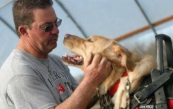 Amazing Service Dogs Trained Dogs Help Disabled Farmers