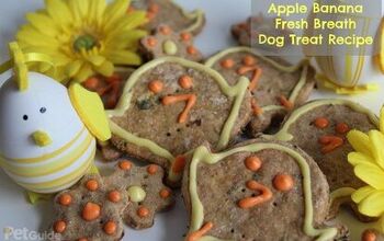 Apple Banana Fresh Breath Dog Treat Recipe