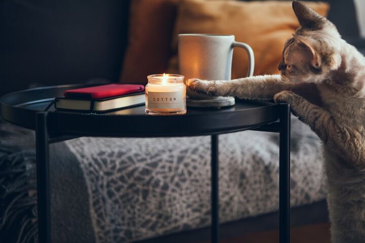 are candles safe for pets, Photo credit Veera Shutterstock com