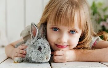 Are Rabbits Good Pets for Children?