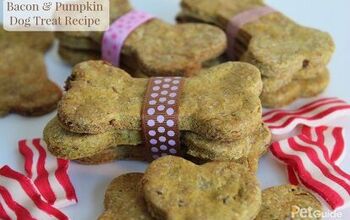 Bacon and Pumpkin Dog Treat Recipe