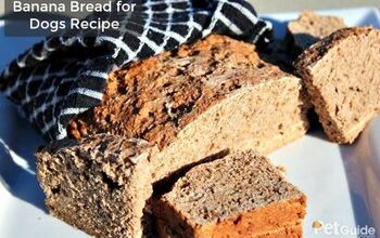 Banana Bread for Dogs Recipe