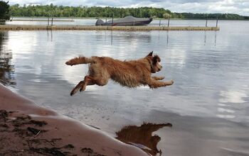 Belly Flop! Flynn Makes A Splash As This Week’s Wet Wednesday Winner