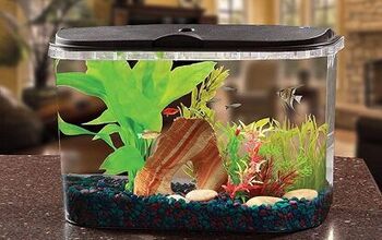 Best Aquarium Kits Under 10 Gallons