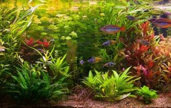 Best Aquarium Maintenance Supplies