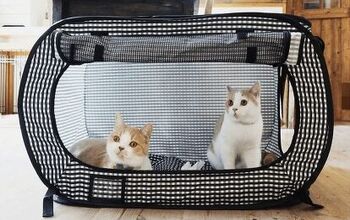 Best Cat Enclosures