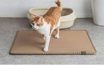 Best Cat Litter Mats