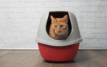 Best Cat Litter Waste Receptacles