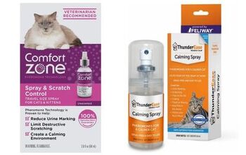 Best Cat Pheromone Sprays