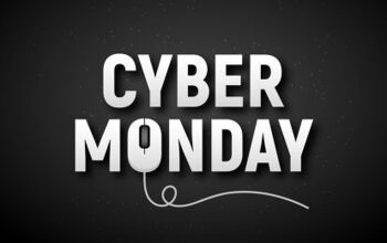 Best Cyber Monday Pet Steals