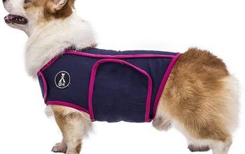 Best Dog Anxiety Vests