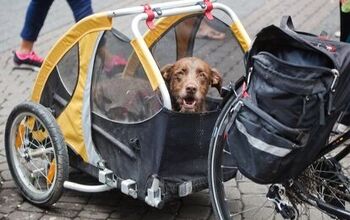 Best Dog Bike Trailers