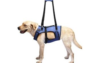 Best Dog Lift Harnesses