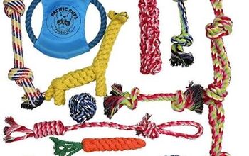 Best Dog Toys