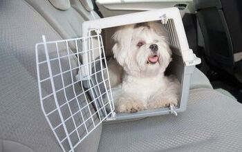 Best Dog Travel Crates