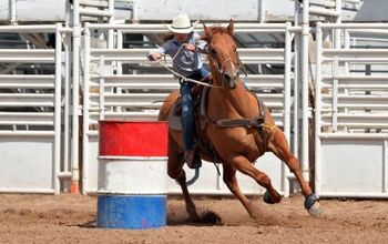 Best Horses for Barrel Racing