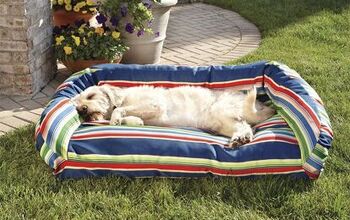 Best Outdoor Dog Beds