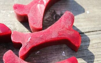 Blackberry Coconut Frozen Dog Treats