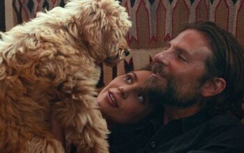 Bradley Cooper Cast His Own Dog in ‘A Star Is Born’