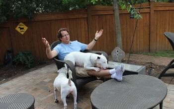 Bull Terriers 101 With Music Geek Alan Cross