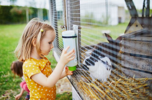 can you keep rabbits outdoors, Ekaterina Pokrovsky Shutterstock