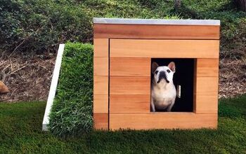 Canines Can Go Green With a Sustainable Dog House