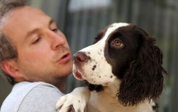 Cash For Cuddles – Survey Finds People Willing To Rent Out Their Pet