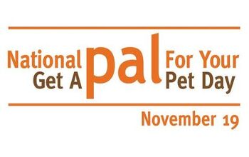 Celebrate “National Get a Pal for Your Pet Day” On November 19 [Vi