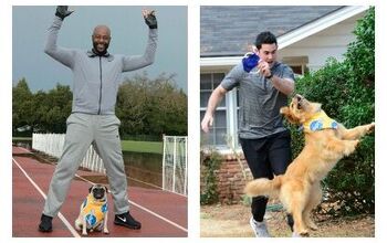 Cheer for These Adorable Pups Prepping For The Puppy Bowl [Video]