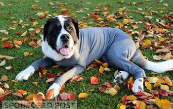 Chilly Dogs Need Shed Defender’s New Winter Fleece