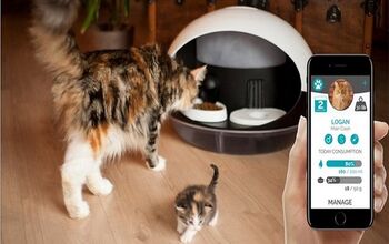 Cool Kickstarter Makes Humans Useless To Cats